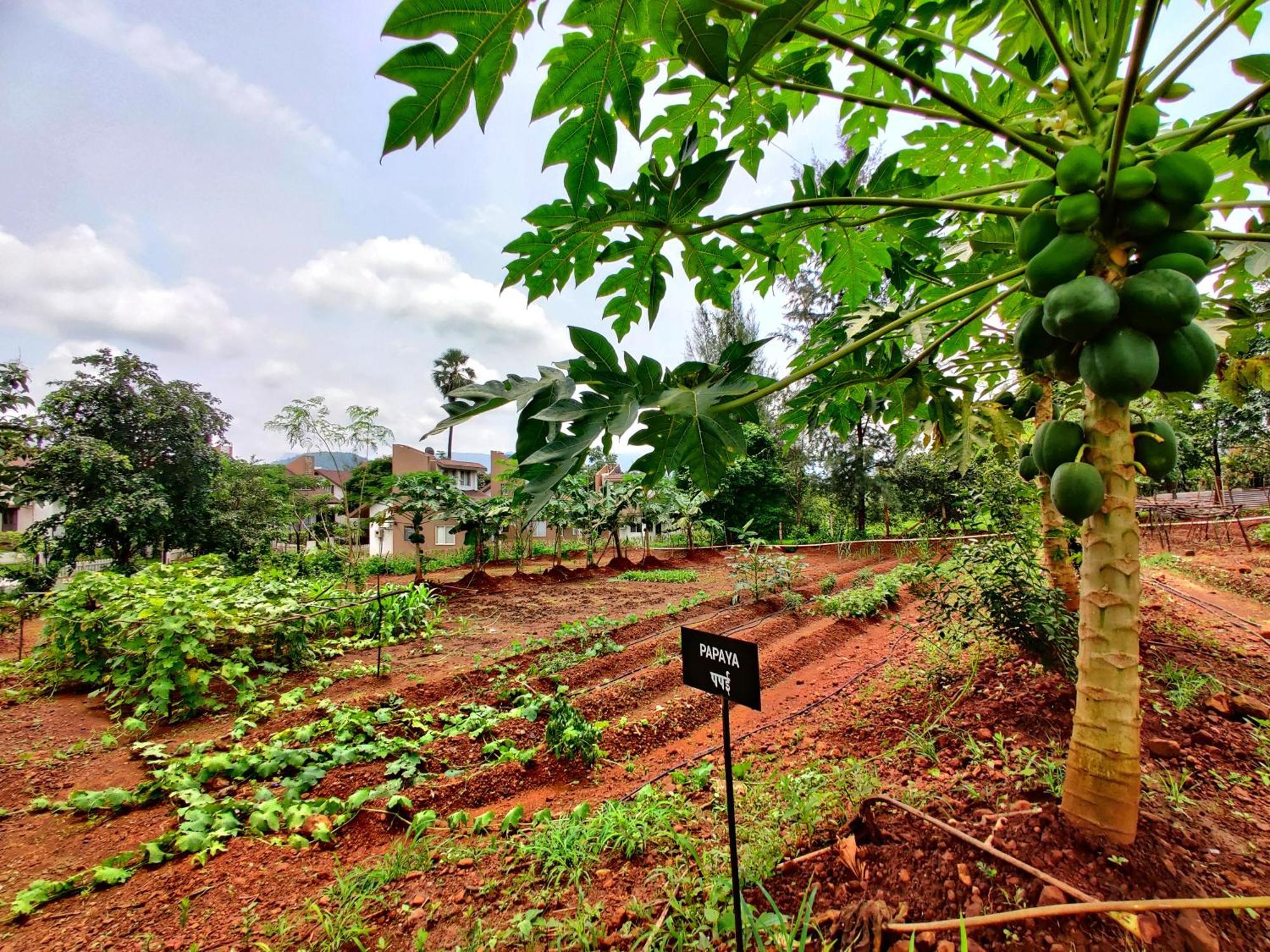 Pushpam Sanskruti Resort Karjat - A Pure Veg Resort Dhamni Kültér fotó