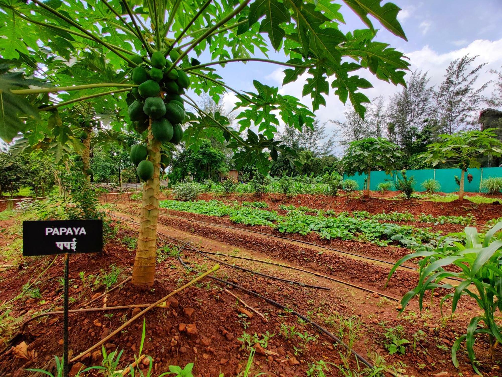 Pushpam Sanskruti Resort Karjat - A Pure Veg Resort Dhamni Kültér fotó